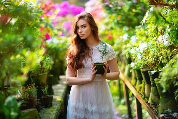 Schöne Rothaarige Mädchen Einem Weißen Spitzenkleid Steht Einem Garten Mit — Stockfoto