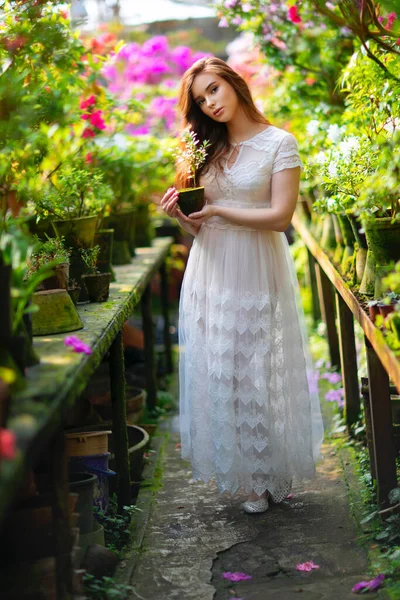 美丽的红头发姑娘穿着白色花边裙站在一个开着五彩花的花园里 浪漫女人的艺术作品 看着相机的漂亮柔情模型 — 图库照片