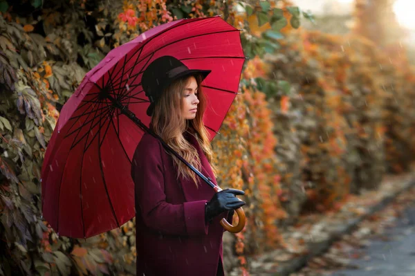 Retrato Uma Menina Bonita Vestido Borgonha Chapéu Preto Perto Folhas — Fotografia de Stock