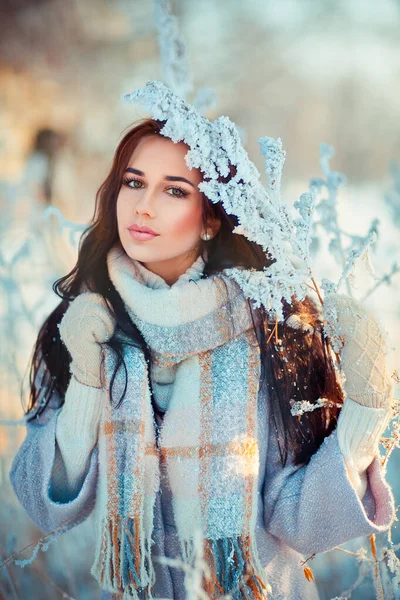 冬霜森林里穿着温暖围巾的漂亮黑发姑娘的画像 蓝色背景的年轻貌美的模特儿笑着 — 图库照片