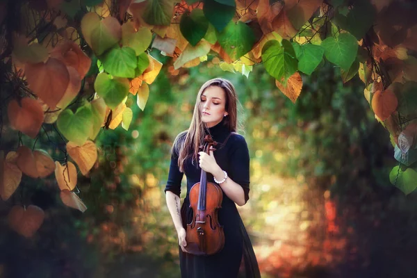 Портрет Красивої Брюнетки Темному Платті Скрипкою Скрипаль Близькими Очима Осінньому — стокове фото