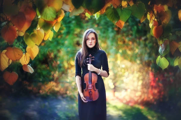 Portré Egy Gyönyörű Barna Lány Sötét Ruhában Hegedűvel Hegedűs Szomorú — Stock Fotó