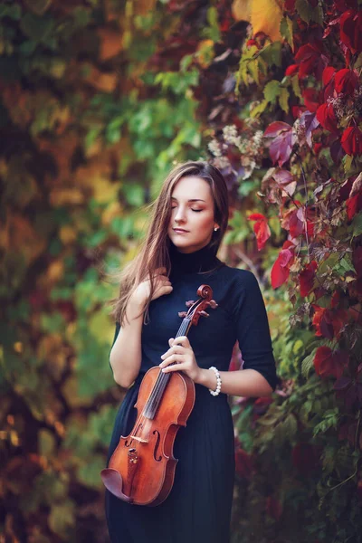 一个穿着深色衣服 带着小提琴的漂亮的黑发女孩的画像 秋日公园里的小提琴手 — 图库照片