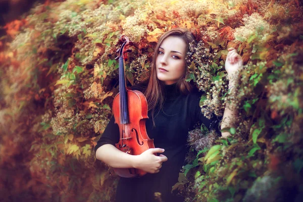 一个穿着深色衣服 带着小提琴的漂亮的黑发女孩的画像 在黄色背景上有着忧郁眼睛的小提琴家 年轻模特儿看着秋天公园里的相机 — 图库照片