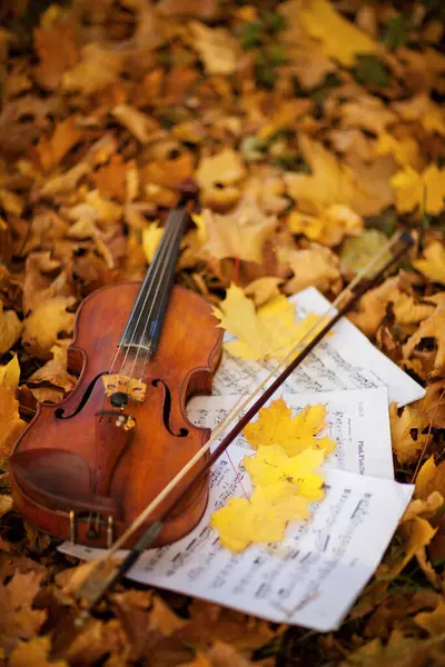 秋天公园里的小提琴 — 图库照片