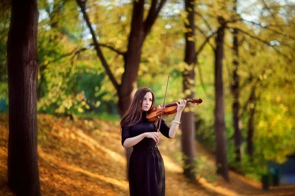 ヴァイオリンのダークドレスで美しいブルネットの女の子の肖像画 秋の公園で演奏するバイオリン奏者 — ストック写真