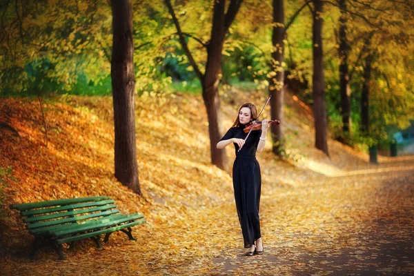 一个穿着深色衣服 带着小提琴的漂亮的黑发女孩的画像 小提琴手在秋天的公园里演奏 — 图库照片