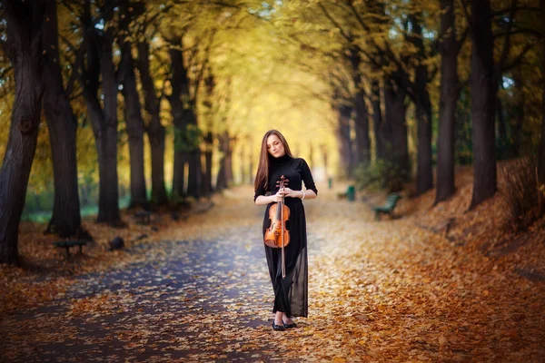 秋の公園でバイオリンと暗いドレスに立っている美しいブルネットの女の子の肖像画 — ストック写真