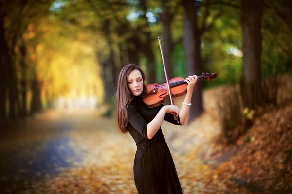 Portrait Beautiful Brunette Girl Dark Dress Violin Violinist Playing Autumn — Stock Photo, Image