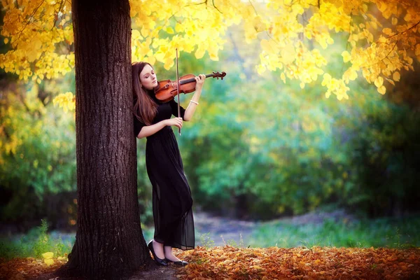 一个穿着深色衣服 带着小提琴的漂亮的黑发女孩的画像 秋天公园里的小提琴手在黄色背景下演奏 — 图库照片