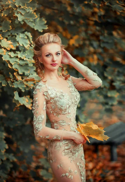 Hermosa Chica Encaje Vestido Oro Lujo Peinado Trabajo Artístico Una —  Fotos de Stock