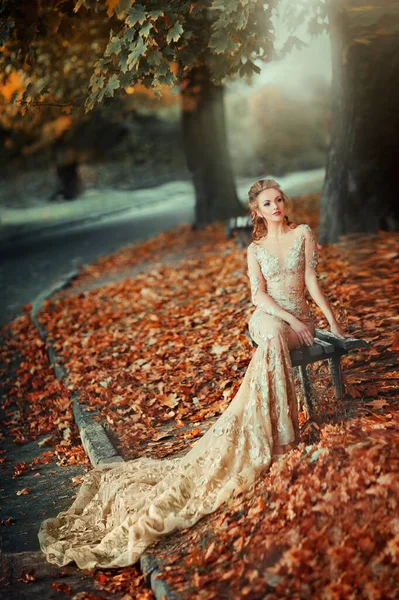 漂亮的姑娘穿着花边华丽的金黄色衣服和发型 艺术品 温暖的照片 秋天里的情妇 — 图库照片