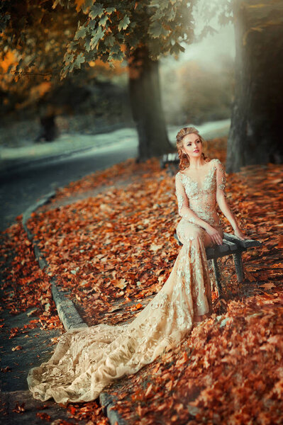 Beautiful girl in lace luxury gold dress and hairstyle . Art work. Warm photo. Romantic lady outdoor on autumn nature background.