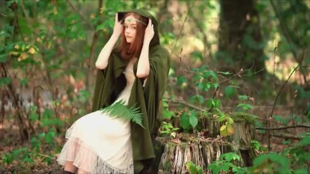漂亮的红头发姑娘 头戴中世纪服装 关于公主的童话故事 森林里与费罗一起坐着的神奇模型 — 图库视频影像