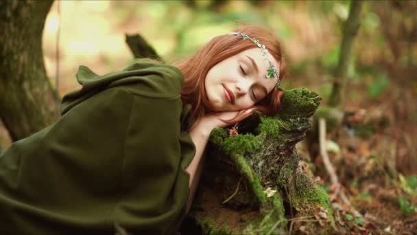 Ortaçağ Elbiseli Taç Takan Güzel Kızıl Saçlı Kız Prenseslerle Ilgili — Stok video