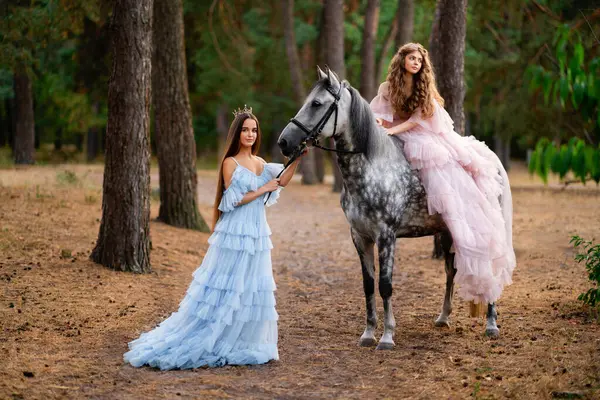 两个漂亮的少女 穿着长长的迷人的粉色和蓝色连衣裙 头戴皇冠 站在松树林中灰马旁边 关于公主的童话般的温暖故事 — 图库照片