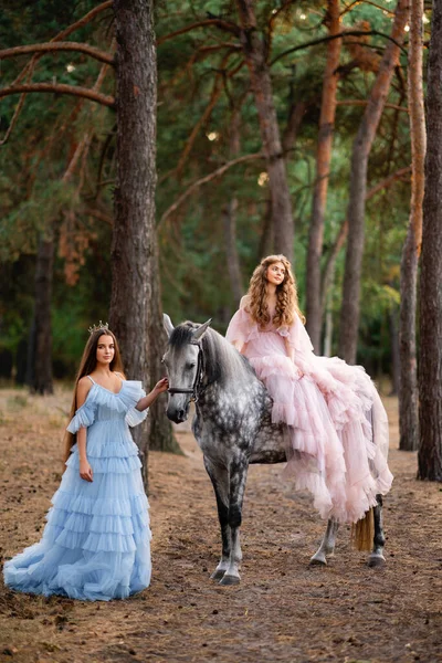 Zwei Wunderschöne Teenager Mädchen Langen Rosa Und Blauen Glamour Kleidern — Stockfoto