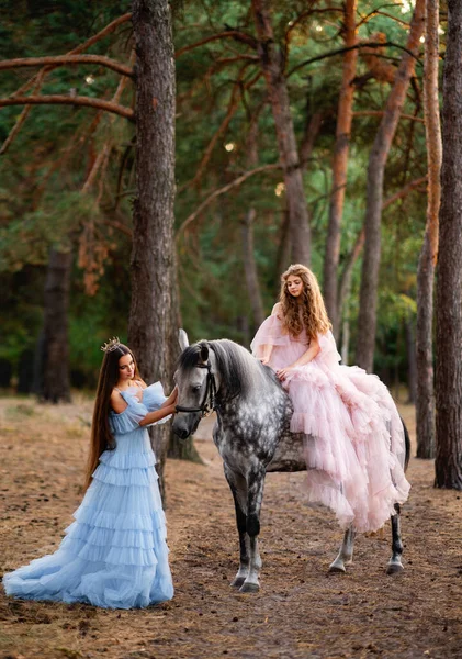Two Beautiful Teenage Girls Long Glamour Pink Blue Dresses Crowns — Stock Photo, Image