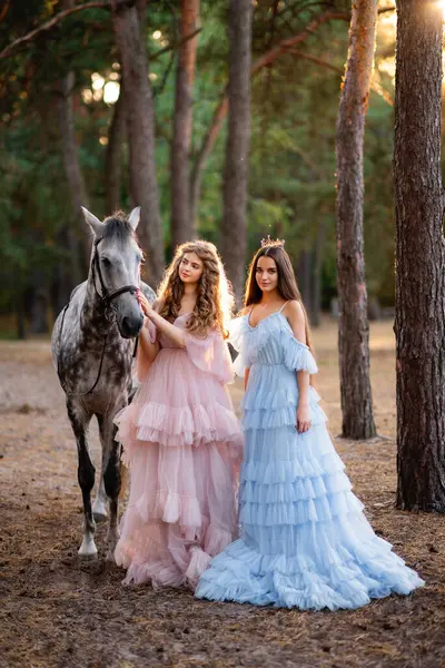 Zwei Wunderschöne Teenager Mädchen Langen Rosa Und Blauen Glamour Kleidern — Stockfoto