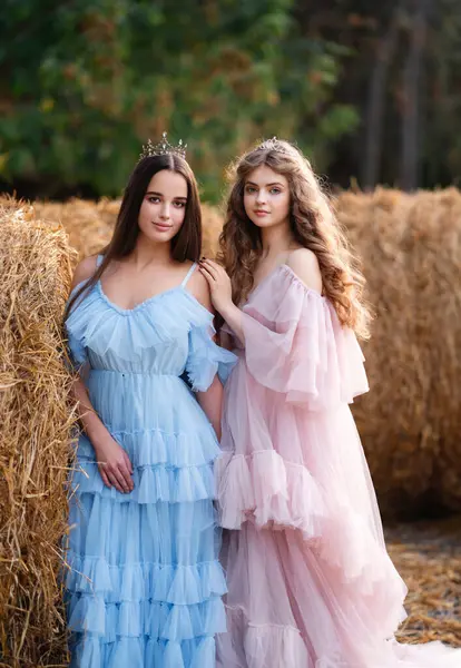 两个漂亮的少女 穿着长长的迷人的粉色和蓝色连衣裙 头戴皇冠 站在松树林中灰马旁边 关于公主的童话般的温暖故事 — 图库照片