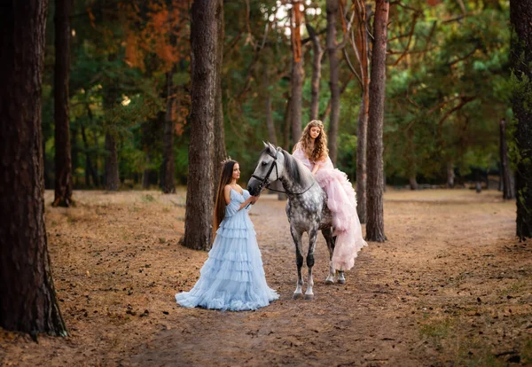 Due Belle Ragazze Adolescenti Abiti Lunghi Glamour Rosa Blu Corone — Foto Stock