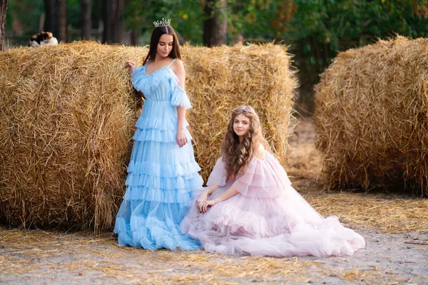 Zwei Schöne Teenager Mädchen Langen Rosa Und Blauen Glamour Kleidern — Stockfoto