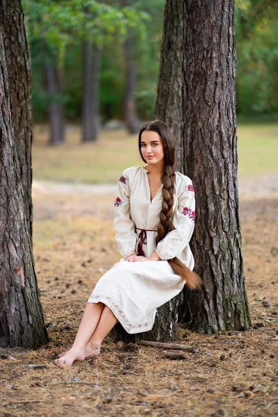 Ukrayna Geleneksel Elbisesiyle Ormanda Poz Veren Ekstra Uzun Örgülü Güzel — Stok fotoğraf