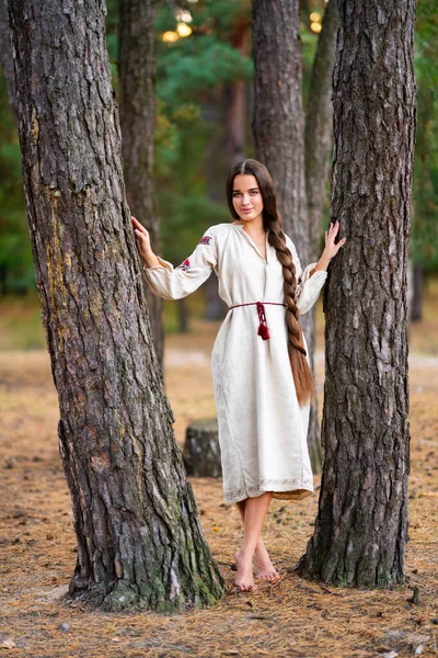 Hermosa Chica Pelo Trenzado Extra Largo Vestido Tradicional Ucraniano Posando —  Fotos de Stock