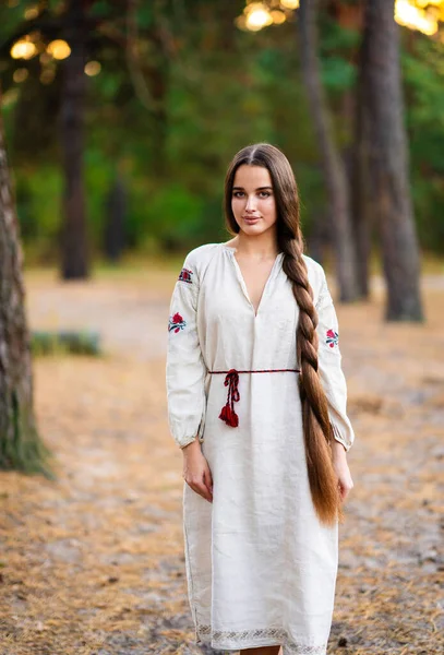 Vacker Extra Lång Flätad Hår Flicka Ukrainska Traditionell Klänning Poserar — Stockfoto