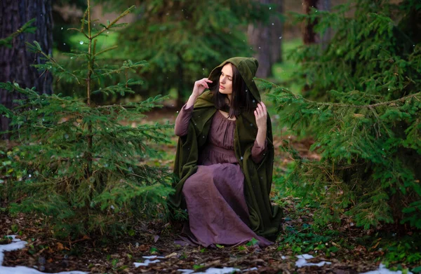 Primer Plano Retrato Increíble Princesa Cuento Hadas Capa Verde Elfo — Foto de Stock