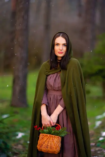 赤い果実と冬の森に立っているエルフグリーンキャップとヴィンテージドレスの素晴らしいおとぎ話の王女の肖像を閉じます クイーンエレガントなヴィンテージの女性と暖かいアートワーク — ストック写真
