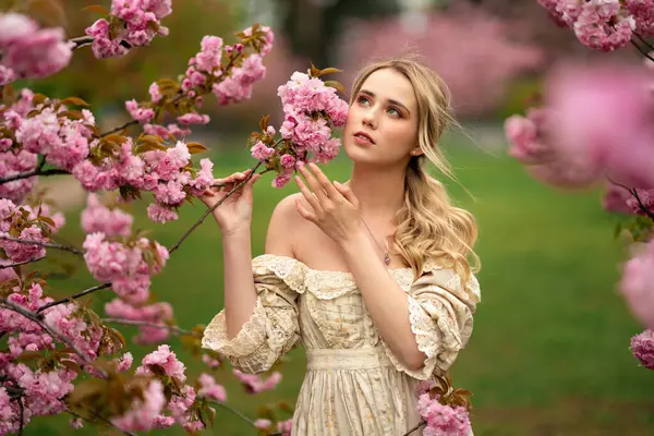 漂亮的金发姑娘穿着老式花边裙站在春天公园的粉红花朵旁 温柔浪漫的造型 图库照片
