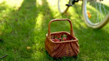 Yaz Ormanı Kırsal Piknik Sahnesinde Çilek ve Bisiklet Tutan Genç Kadın 'ın Videosu