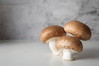 Üç kahverengi şapka şampiyonu yakın planda tek başına duruyor. Yüksek kalite fotoğraf