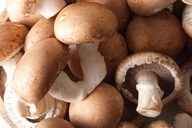 Kahverengi şapka şampiyonları farklı şekillerde ve boyutlarda yakın çekim üstte. Yüksek kalite fotoğraf