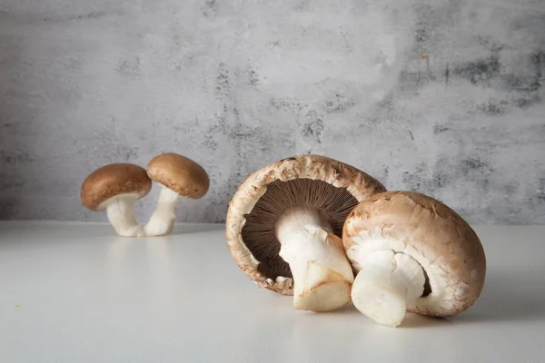 stock image Brown cap champignons on the table against texture wall close-up 