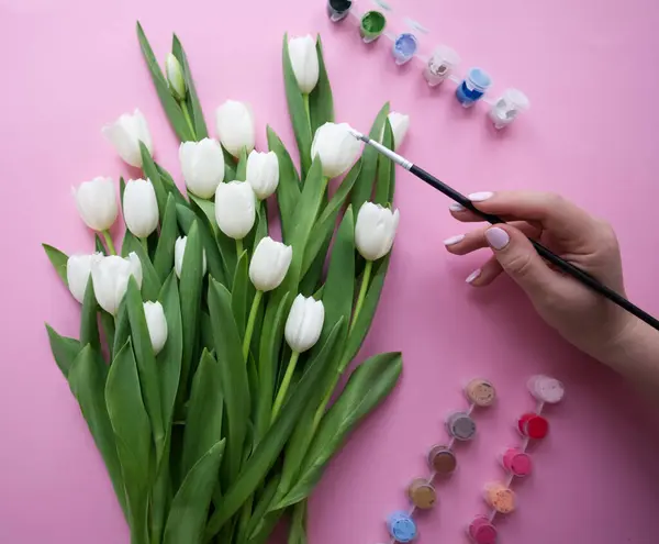 Белые Тюльпаны Раскладываются Розовом Фоне Женская Рука Рисует Красками — стоковое фото