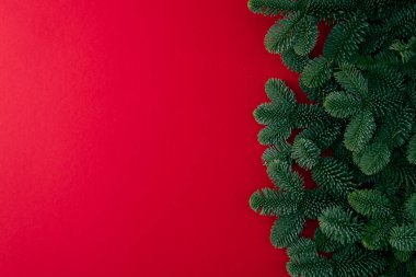 Yılbaşı ağacının yeşil dalları. Arka plan desenli.