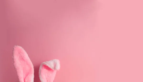 Cute rabbit ears protrude from the border on a pink background copy space. High quality photo