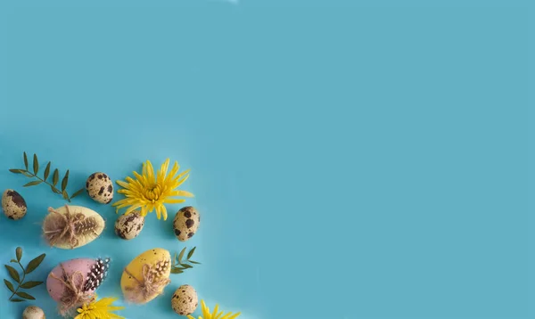Easter eggs and quail spotted eggs in spring decor on a blue background copy space