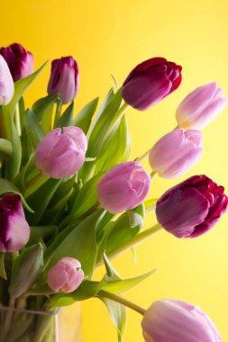 Bouquet of pink and lilac tulips on a yellow background close-up. High quality photo