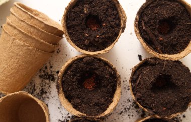 Bahçe toprağıyla kaplı karton kaplar ve yakın plan tohumlar. Yüksek kalite fotoğraf