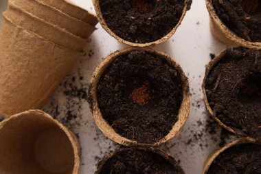 Bahçe toprağıyla kaplı karton kaplar ve yakın plan tohumlar. Yüksek kalite fotoğraf