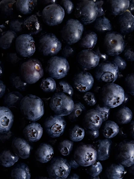 Freshly Picked Blueberries Close Top View High Quality Photo — Stock Photo, Image