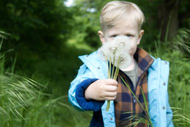 Sarışın bir çocuk elinde bir buket beyaz tüylü karahindiba tutuyor.