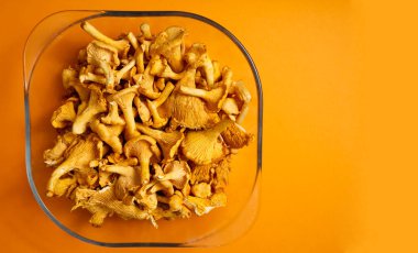 Turuncu arka planda şeffaf bir tabakta chanterelle mantarı hasadı