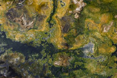 Termal yaylardan alınan mineral kalıntılarının soyut lekeleri