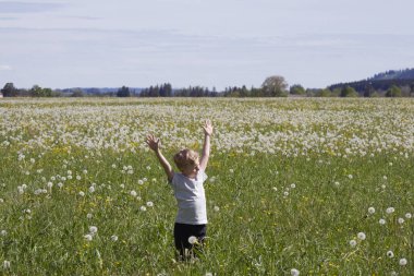 Yeşil bir karahindiba tarlasının ortasında elleri havada bir çocuk duruyor.