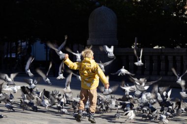 Şehrin merkez meydanında bir çocuk güvercinleri kovalıyor.