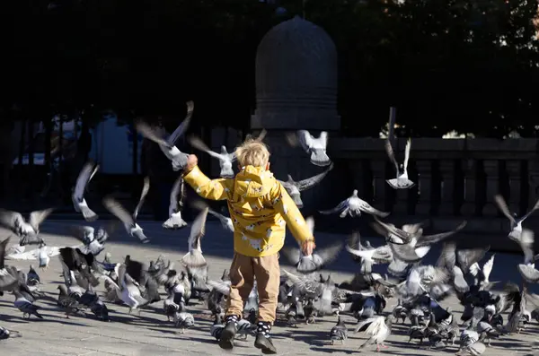 Şehrin merkez meydanında bir çocuk güvercinleri kovalıyor.